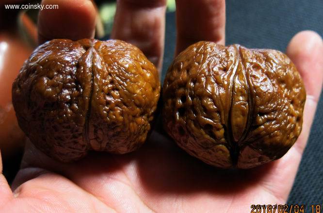 云南野生铁核桃生命之源阴阳一对