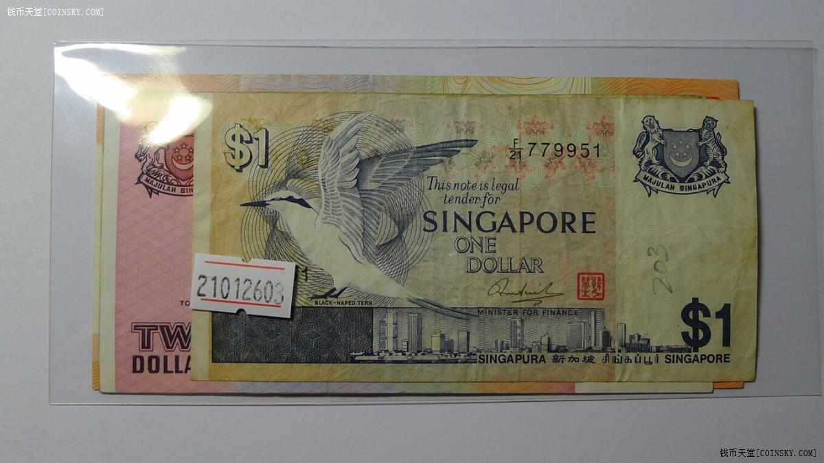 10000新加坡元图片