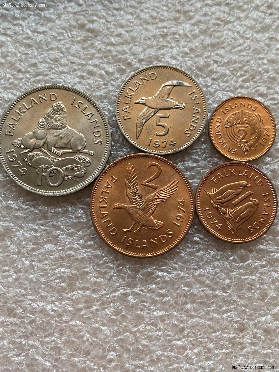 福克兰群岛硬币图片
