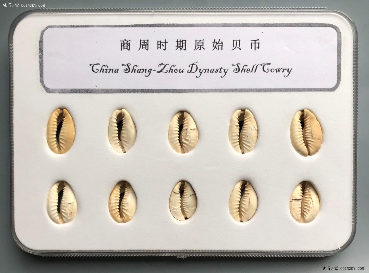 钱币天堂·交易区详情·商周原始贝币10枚