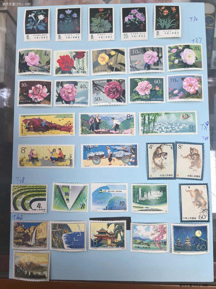 ͼƬ��������´��ڴ򿪲鿴