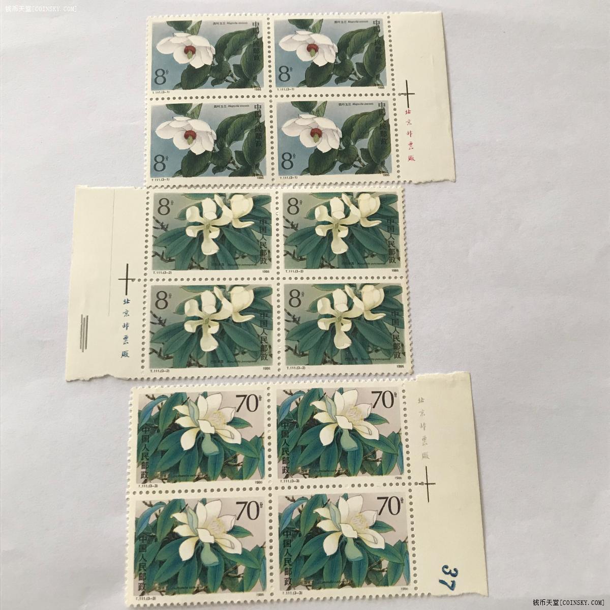 钱币天堂·交易区详情·10号老邮票t111珍稀濒危木兰科植物方联一个