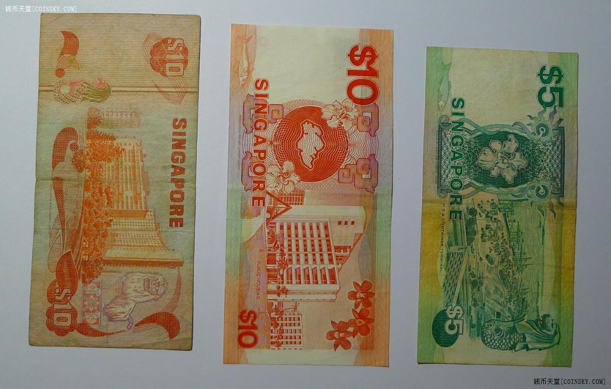 新加坡一万纸币图片