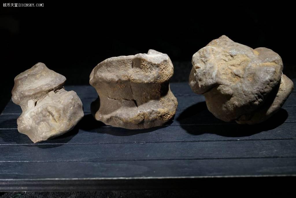 1g【骨头 化石】