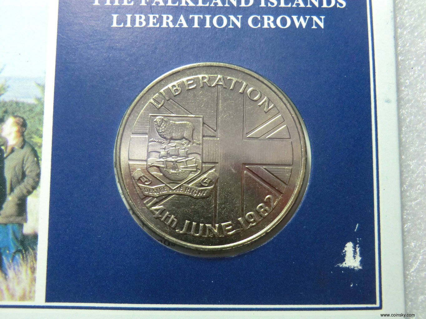 福克兰群岛硬币图片