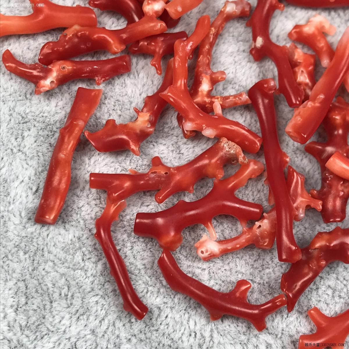 钱币天堂·交易区详情·天然红珊瑚阿卡枝(假一赔十)