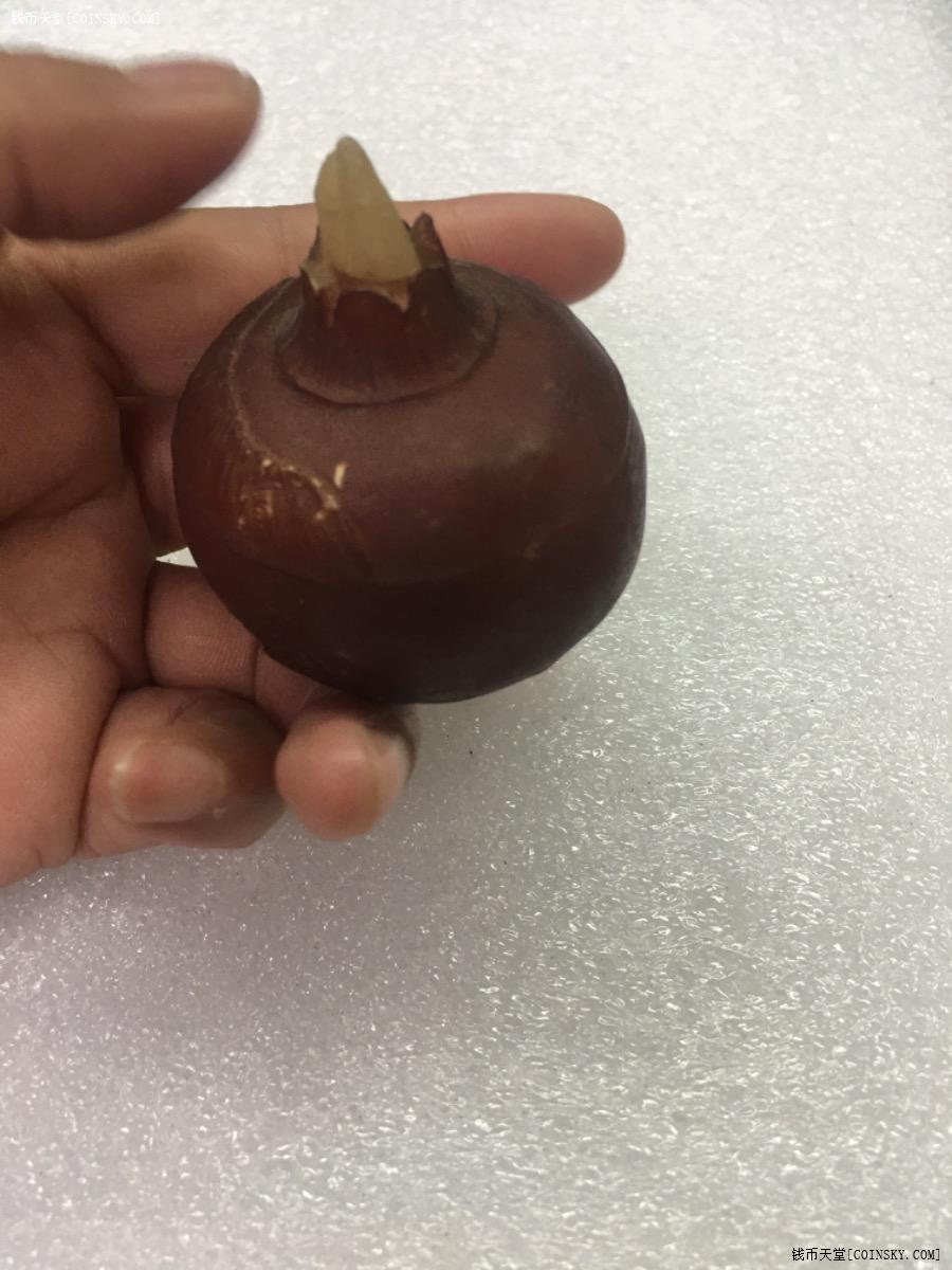 钱币天堂·交易区详情·一个寿山石荸荠