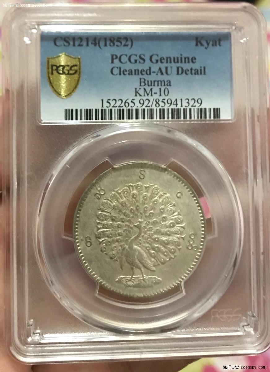钱币天堂·交易区详情·pcgs 带羽毛的缅甸孔雀币
