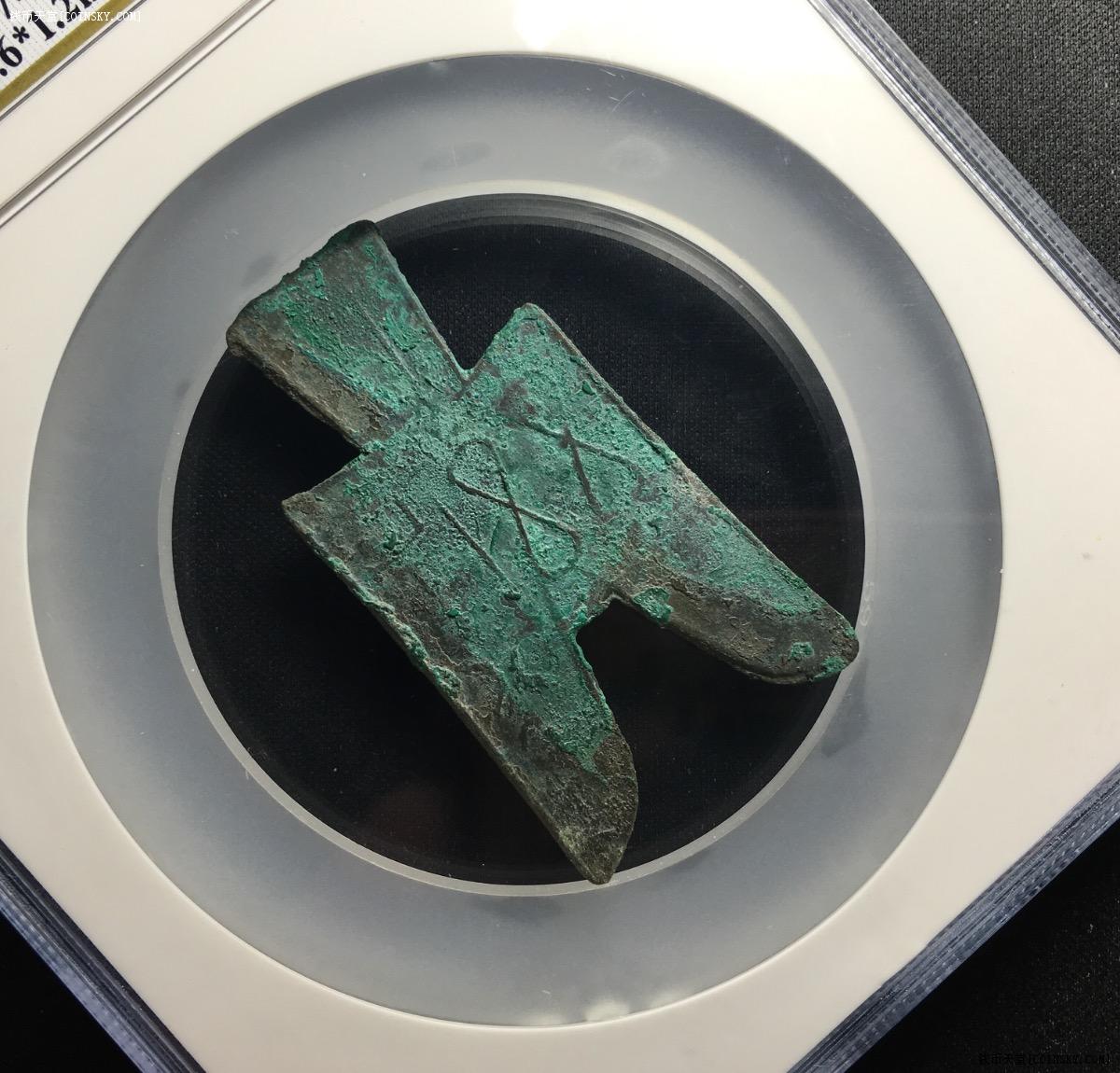 尖足布兹氏半公博鉴定评级币9374