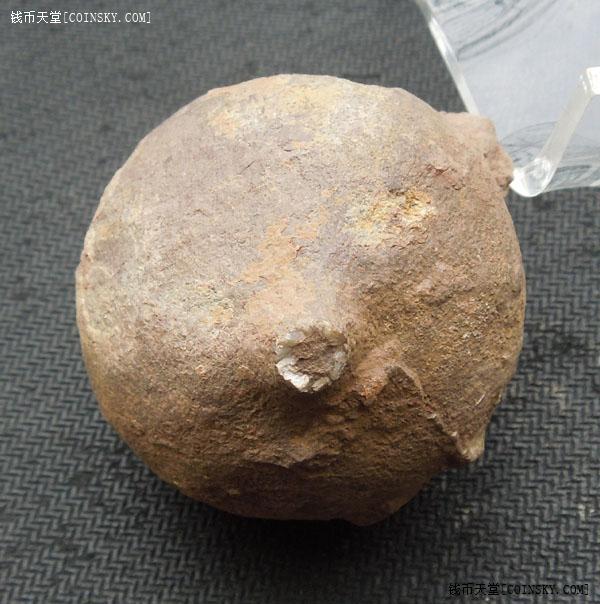 钱币天堂·交易区详情·漂亮带手的中华海林檎古动物化石(包真包老)