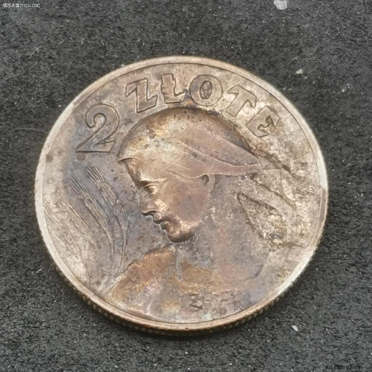 波蘭 貨幣 (99) 사진