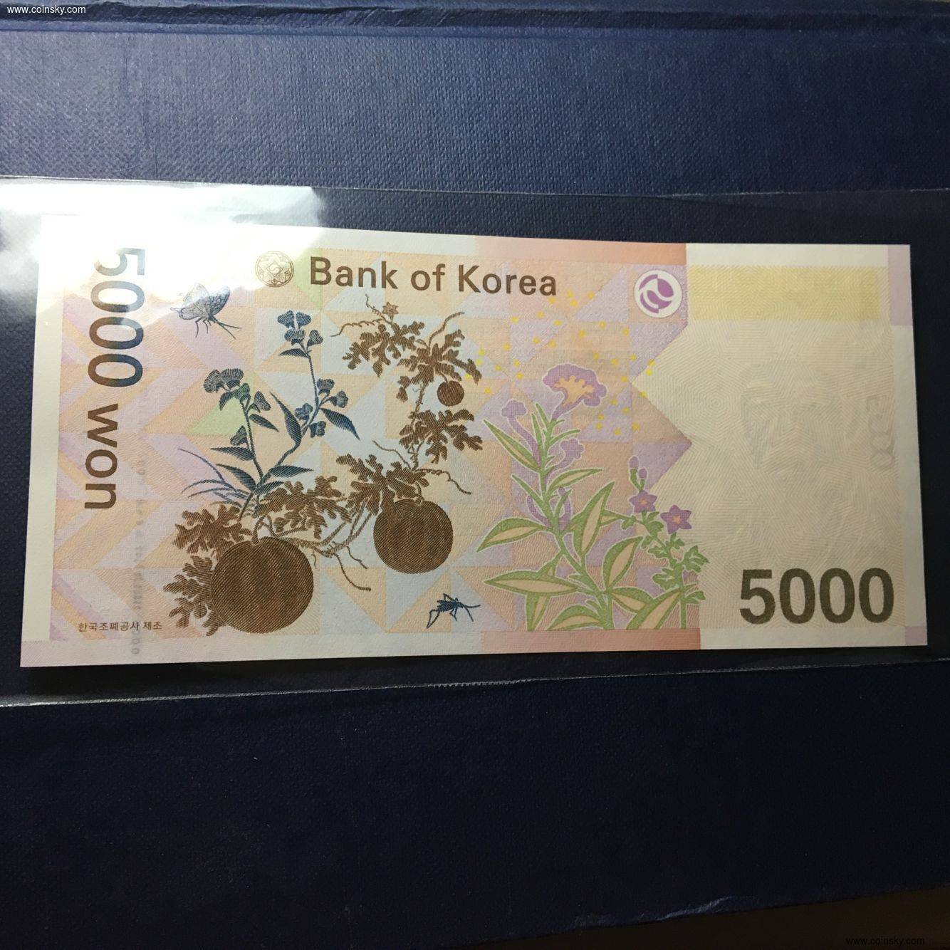 5000韩国币图片
