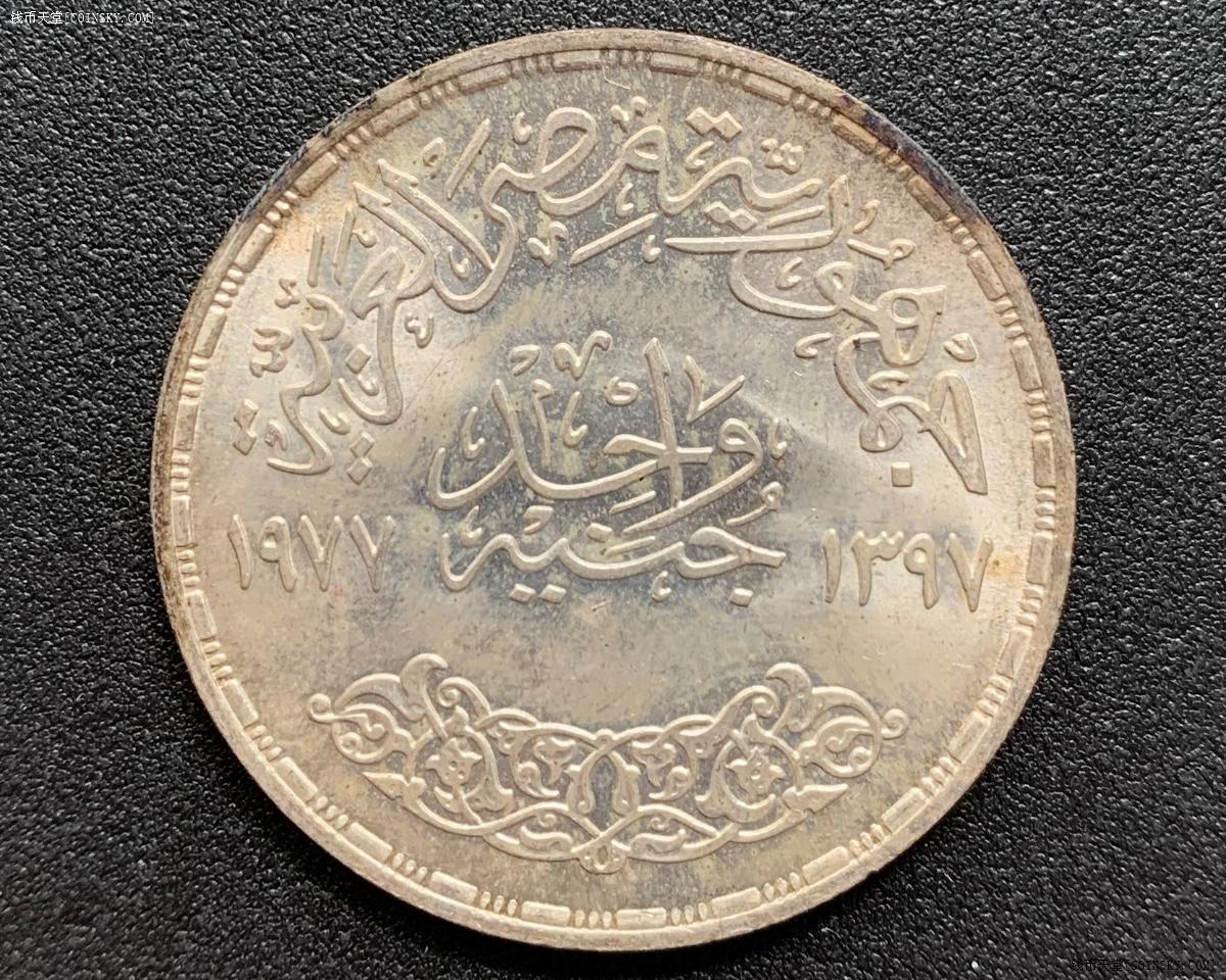 埃及银元图片